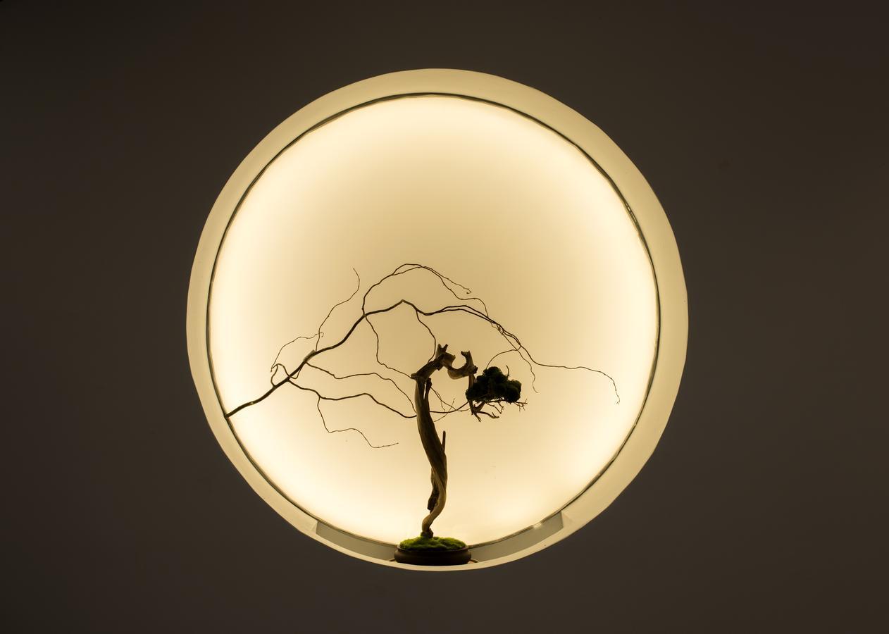 Zhangjiajie Yunxi Zen Hotel Eksteriør bilde